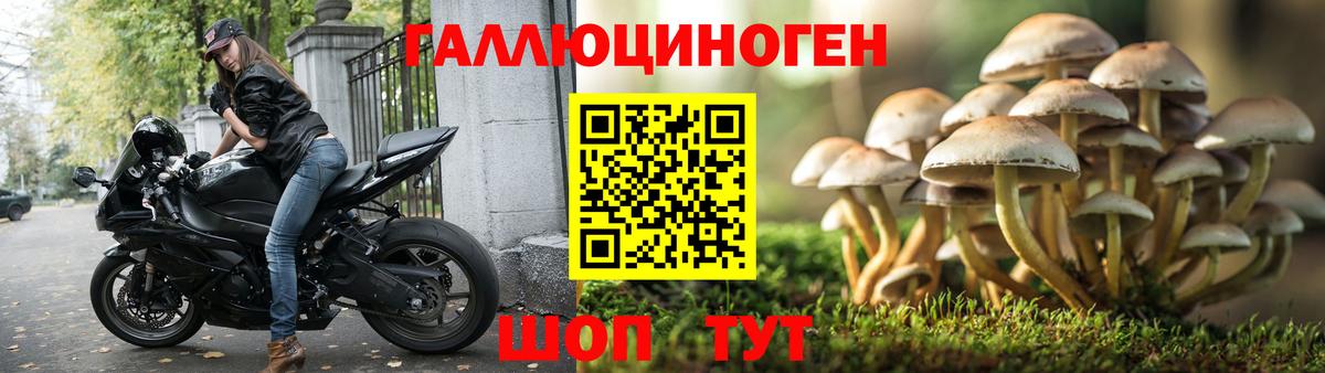 Артёмовский  Псилоцибиновые грибы прущие грибы  Галлюциногенные грибы Cubensis  Вход с VPN 